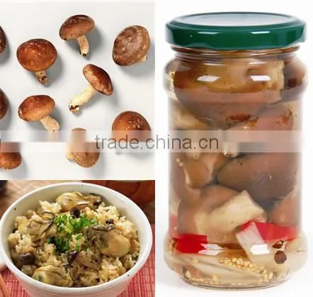 All Types of Mushrooms All Kinds of Cans Canned Food photo-3