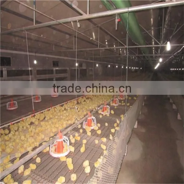 Automatic Broiler Breeding System photo-5