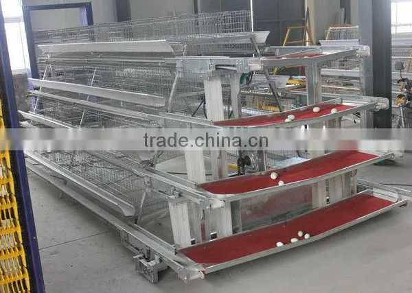 Africa Birds Equipment of Automatic Egg Production Line