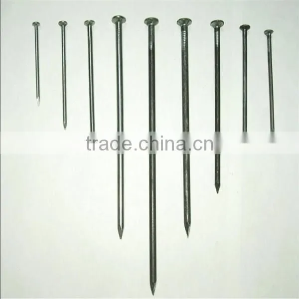 Common Nail / Common Wire Nail / Common Iron Nail
