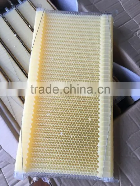 Automatic Honey Flow Beehive photo-4