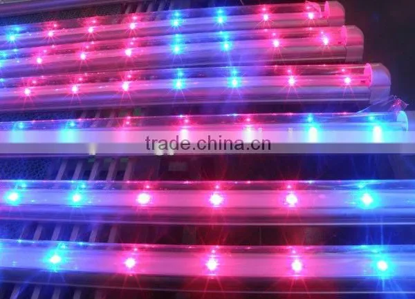 Led Grow Tube Light Full Color Led Bulb Full Spectrum 10w 20w Led Grow Light photo-3
