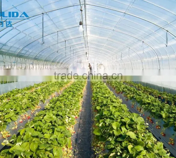 Hot Sale Galvanized Pipe With Plastic Film Greenhouse for Crops or Commercial Use photo-4