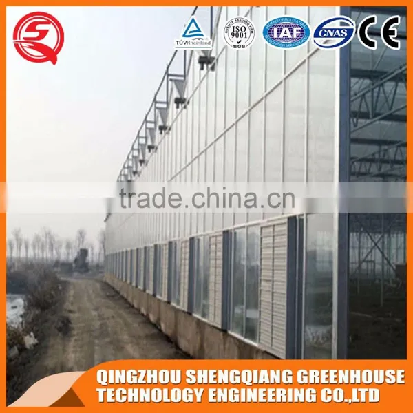 Vegetable and Flowers Poly Tunnel Glass Greenhouse Made in China photo-6