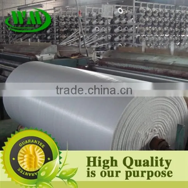 Wholesale White PP Woven Fabric Roll for Package photo-2