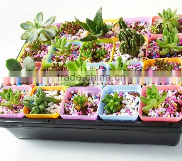 Plastic Raised Garden Bed photo-4