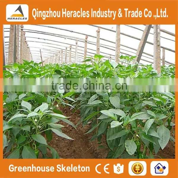 Heracles Trade Saaurance Good Quality uv Plastic Poly Tunnel Greenhouse for Sale photo-4
