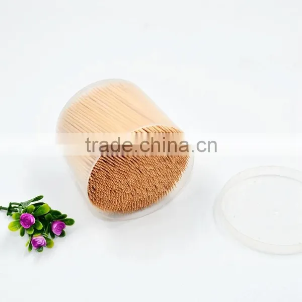 TH-055 Wholesale Plasitc Big Bootle Wrappped Disposable Toothpick in Bulk photo-4