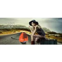 Cheap Self Balancing Electric Bicycle photo-2