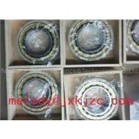 NU1020ECM/C3VL0241 INSULATED BEARING
