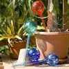 Watering Bulb