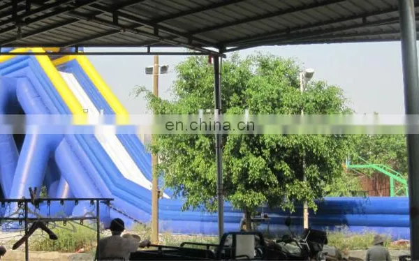 Giant Inflatable Hippo Slide WS070 photo-2