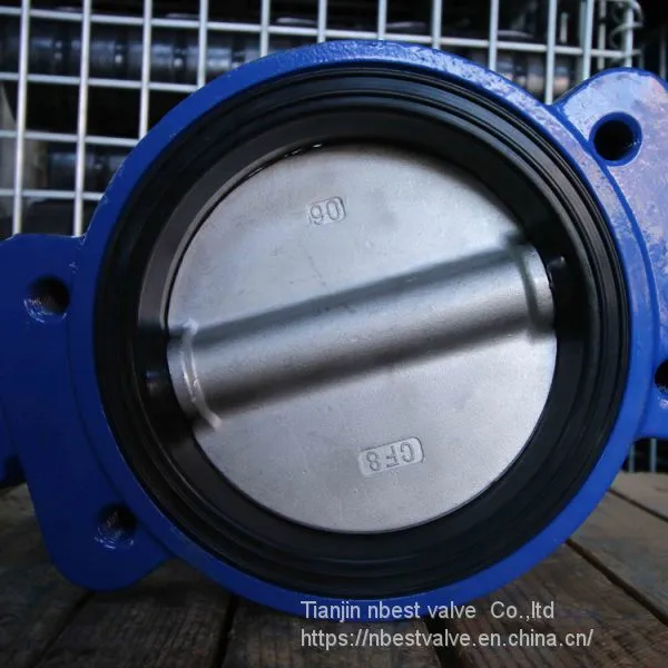 Marine Semi-lug Butterfly Valve DN100 With Lever photo-5