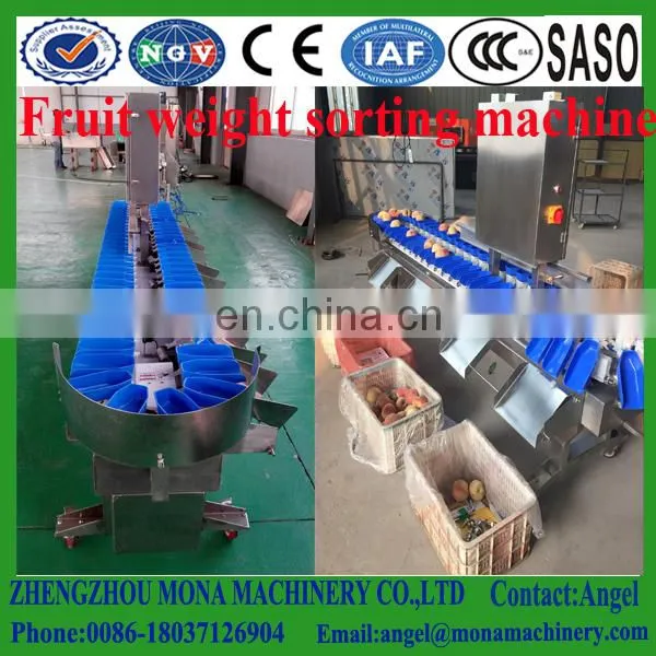 Mango Sorting Machine/vegetable Fruit Weight Sorting Machine photo-4