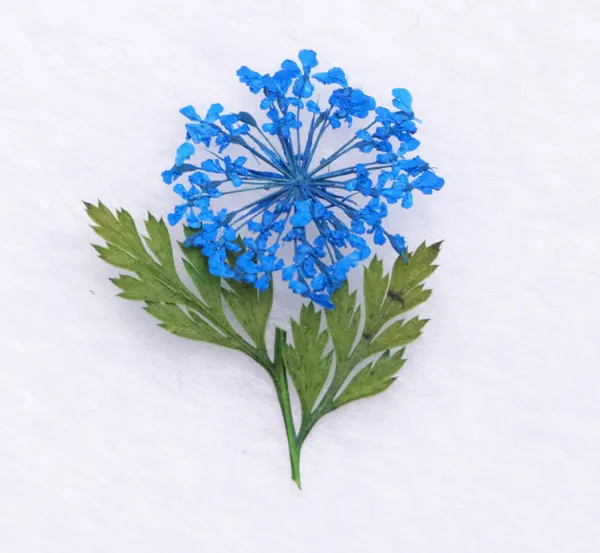 Babysbreath & Leaf Dry Flower Diy Nail Stickers Manicure Decal Dried Flowers photo-2