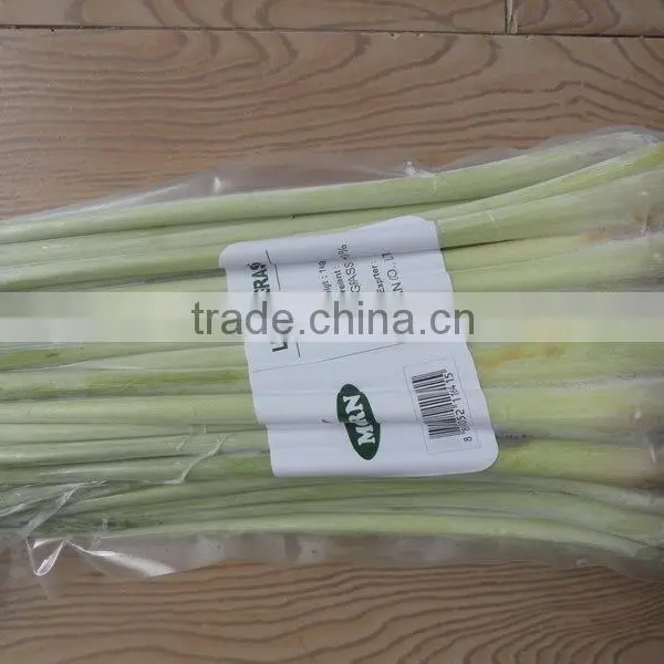 Frozen Lemongrass / Fresh Lemongrass / Lemongrass Vietnam