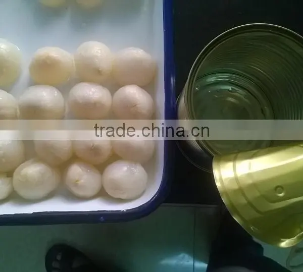 Canned Lychees in Syrup(NEW SEASON )