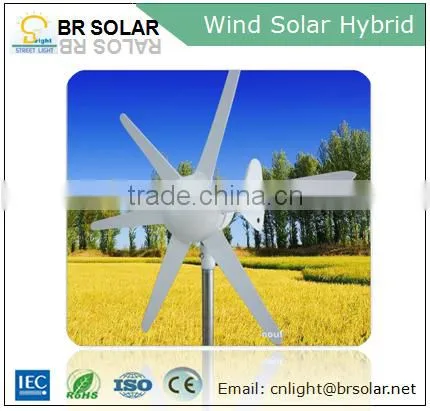 Professional Manufacuturer 5 Years Warranty Wind Solar Hybrid Power System photo-3