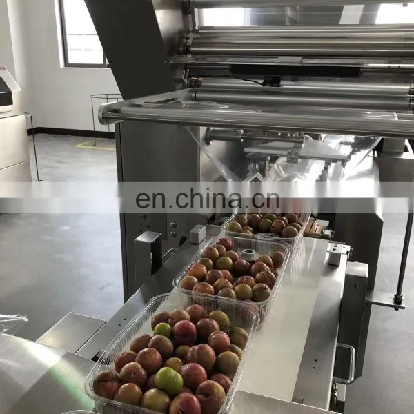 Cherry Fruit Vegetable Automatic Packing Packaging Machine With Tray In Plastic Bag 2.5KG photo-4