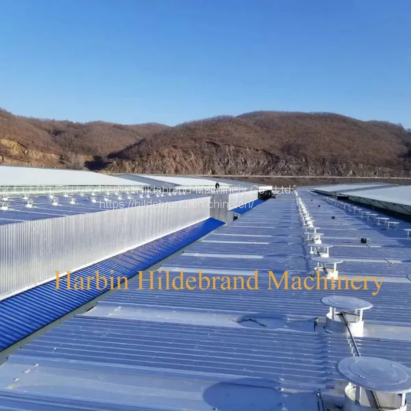 Germany Joint Venture Wood Drying Kiln in China Kiln Drying for Wood photo-4