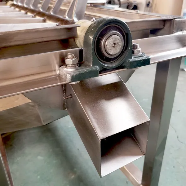 Multifunctional Dual-Track Fruit and Vegetable Pulper Machine photo-4