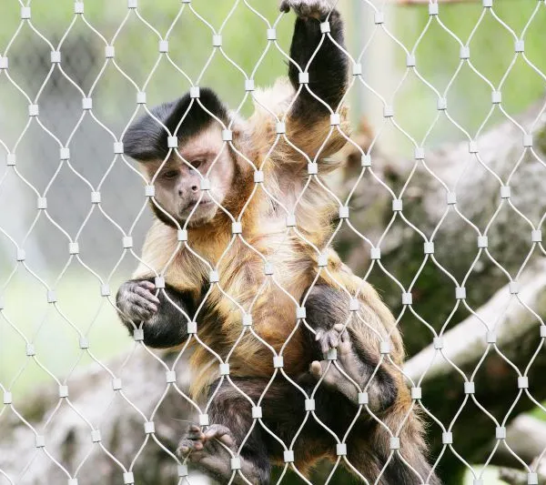 Animal Enclosures in Zoo Applications Animal Protective Nets photo-2