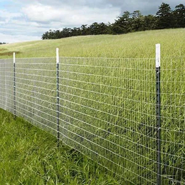 Hot Dipped Electro Galvanized Stainless Steel Welded Wire Mesh With PVC Coating photo-5