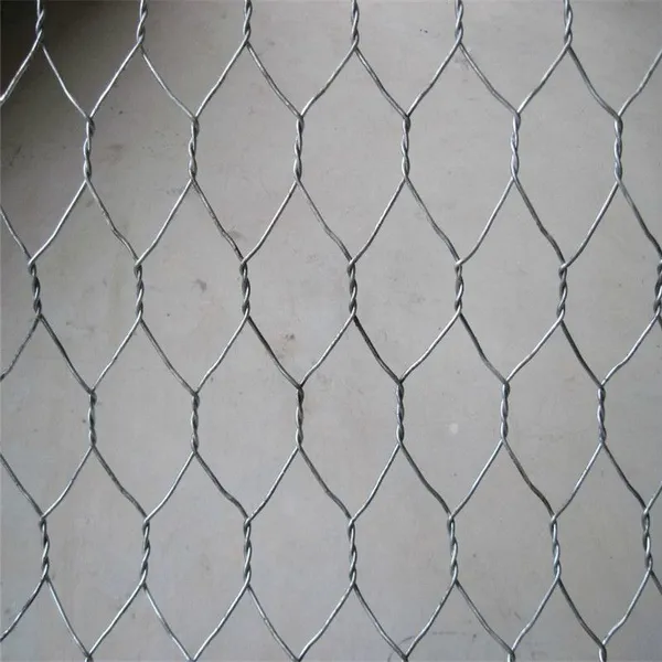 PVC Coated Gabion Box 100*120mm Mesh Size for Riverbank Stabilization photo-4