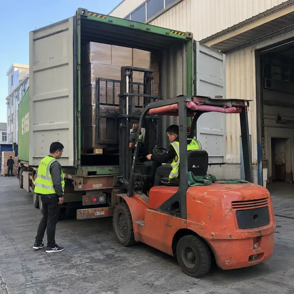 China to Mexico FCL Container Shipping With Truck Door Delivery photo-4