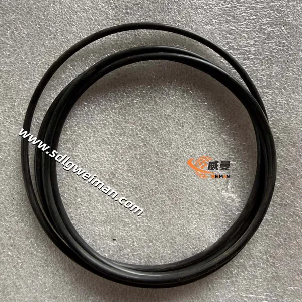 SDLG O-Ring 4041000020 for SDLG LG952 WHEEL LOADER photo-2