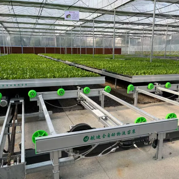 Automatic Logistics Seedbed Greenhouse Automated Transport Growing System for Commercial Nursery