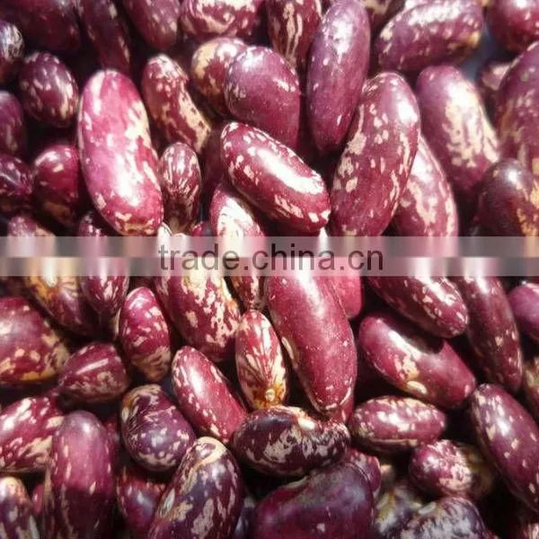 Purple Speckled Kidney Beans
