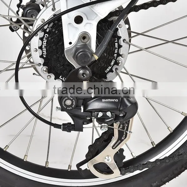 250W Folding Electric Bike , Power- Assistant Bicycle , Cruiser Bicycle 20" photo-5