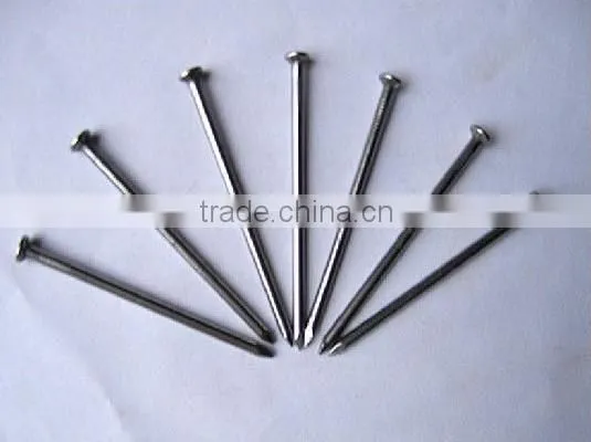 Common Nail Produced by Automat Wire Nail Make Machin From China Supplier photo-5