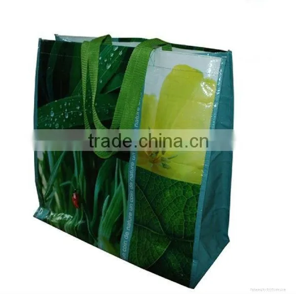 Popular PP Woven Shopping Bag
