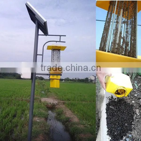 High Quality Lampada de Atracao de Insetos Olar Pest Killer Solar Led Mosquito Killer Mosquito Killer photo-3