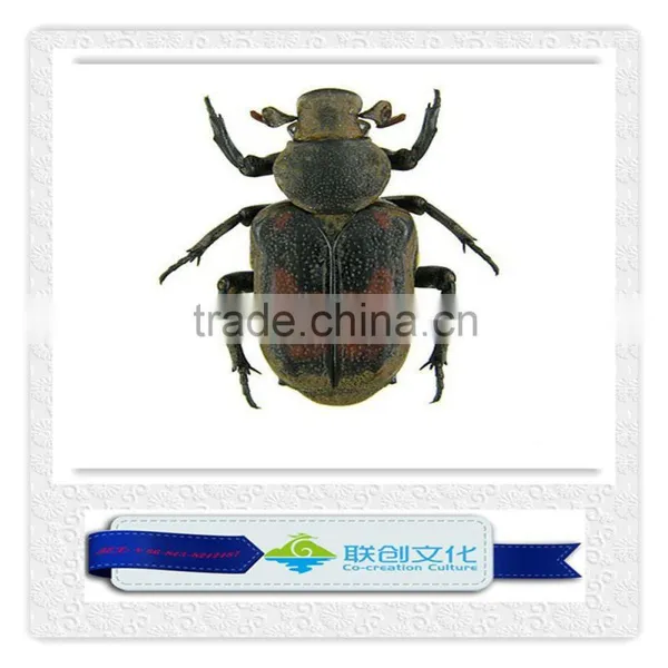 Theme Park Giant Ant Insect Models photo-2
