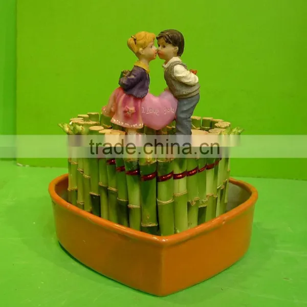 Heart Shaped Love Shaped Tower Lucky Bamboo Bonsai Dracaena Sanderiana Indoor Aquatic Feng Shui Plants Nursery Garden Decoration photo-2