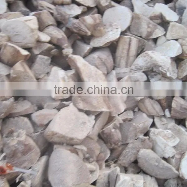 Cassava Starch _ QQ : 2598494113 photo-2