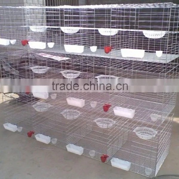 4 Tiers A Type Layer Chicken Battery Cage for Poultry Farm photo-4