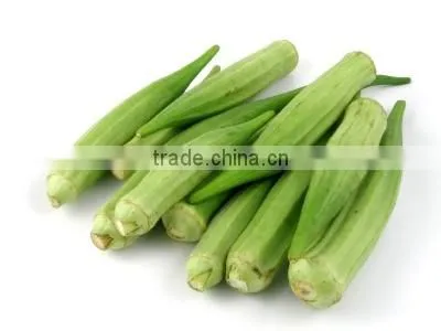 Exporters of Fresh Vegetables photo-6