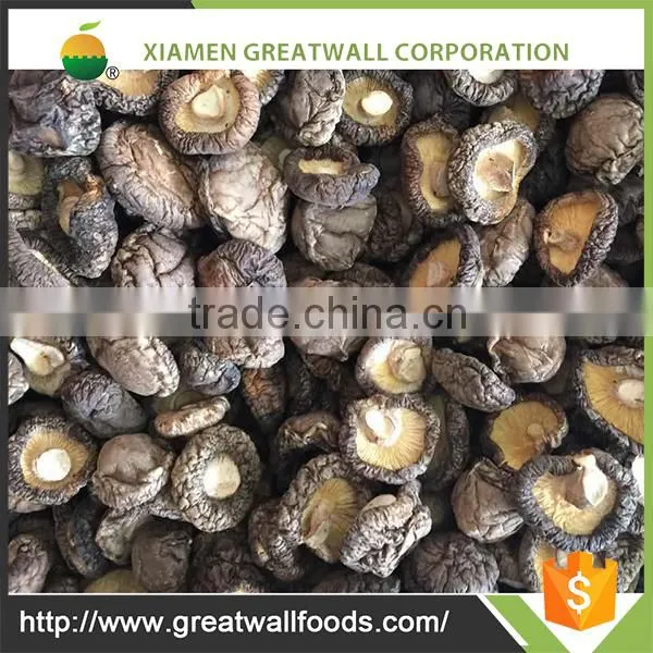 Frozen Cultivated Sliced Shiitake Mushroom photo-2
