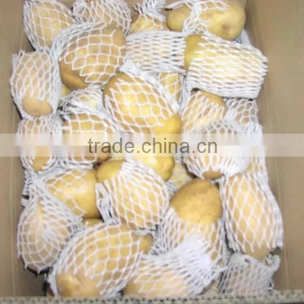 Chinese New and Yellow Potato From Shandong Province photo-4