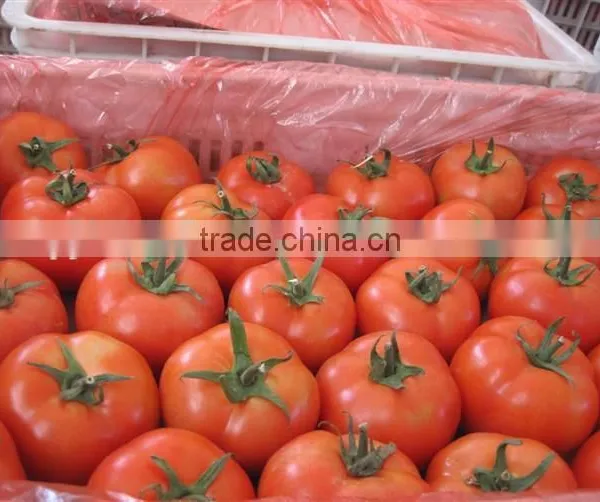 Fresh Vegetables Fresh Tomato