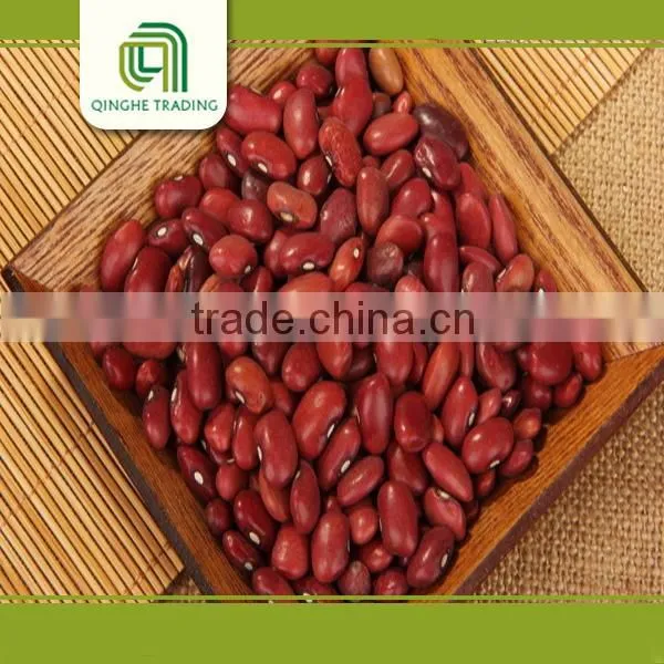 Canned Red Kidney Beans in Brine Pulse
