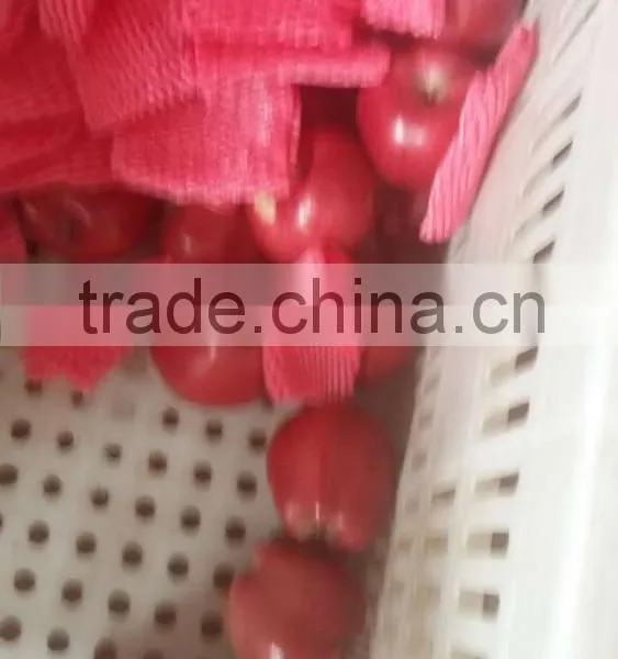 2016 Red Delicious Huaniu Apple photo-4