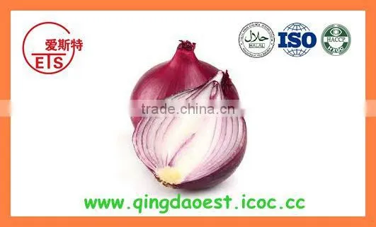 Export China Fresh New Crop Red and Yellow Onion photo-6