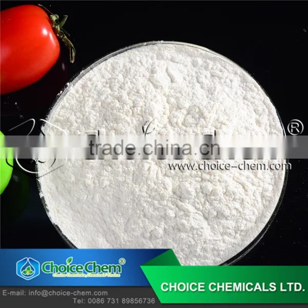 Food Grade Xanthan Gum/xanthan Gum Powder/xanthan Gum Food Grade