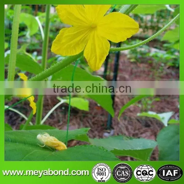 High Quality Climbing Plant Support Net photo-3