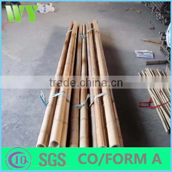 WY-213 2016 Hot Sale Natural Dry Strong Whole Part Moso Bamboo Poles for Agriculture and Construction photo-6